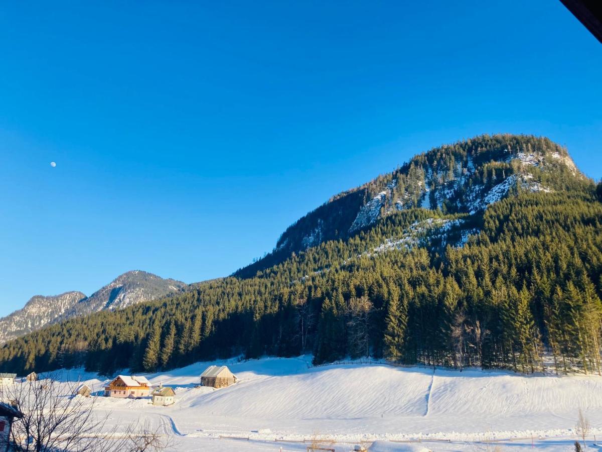 Hallstatt Dachstein Inn Gosau Exteriör bild