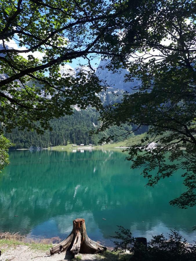 Hallstatt Dachstein Inn Gosau Exteriör bild