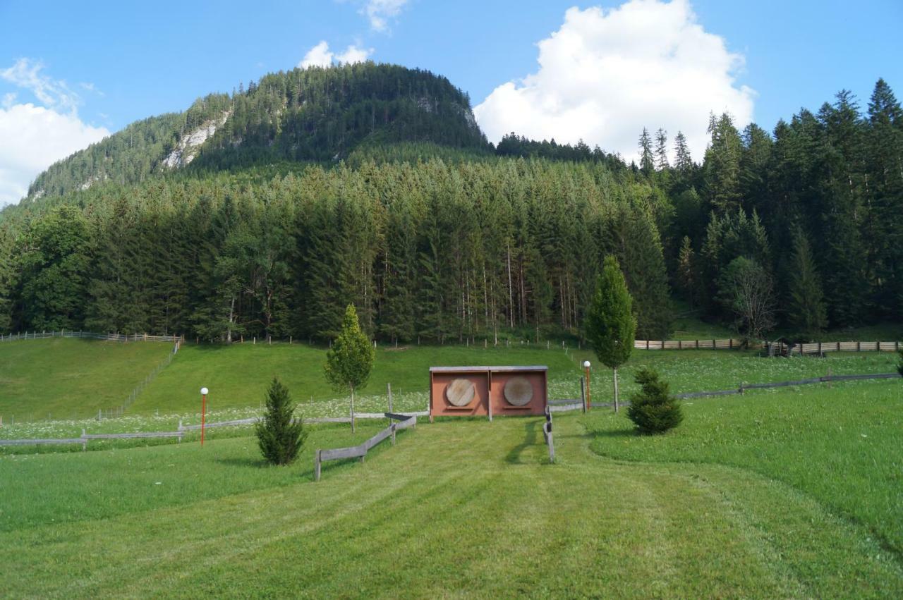 Hallstatt Dachstein Inn Gosau Exteriör bild