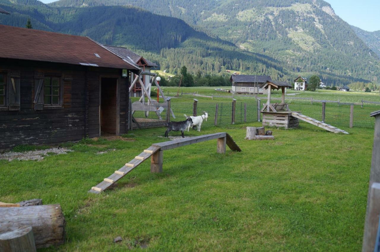 Hallstatt Dachstein Inn Gosau Exteriör bild